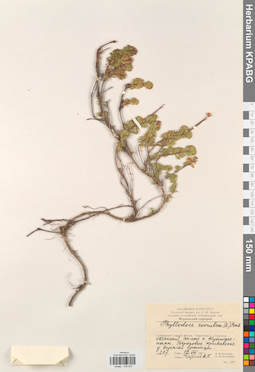 KPABG034307
