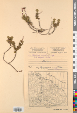 KPABG034329