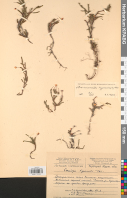 KPABG034343