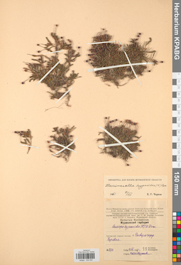 KPABG034344