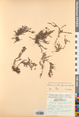 KPABG034358