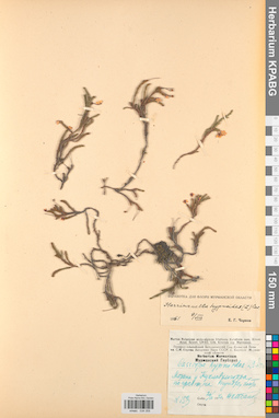 KPABG034359