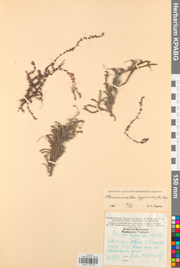 KPABG034361