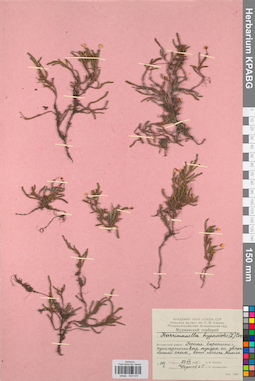 KPABG034370