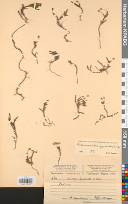KPABG034380