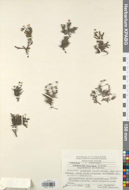 KPABG034399