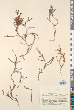 KPABG034404