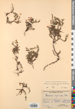 KPABG034409