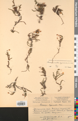 KPABG034410
