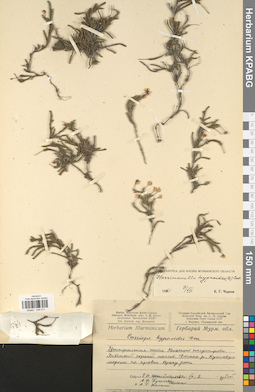 KPABG034411