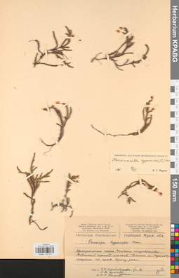 KPABG034412