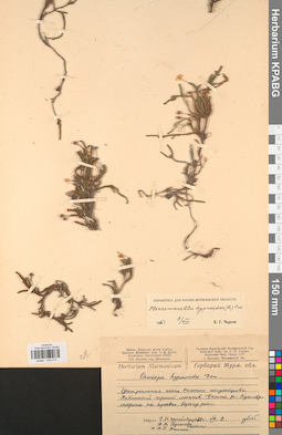 KPABG034413