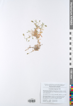 KPABG049358