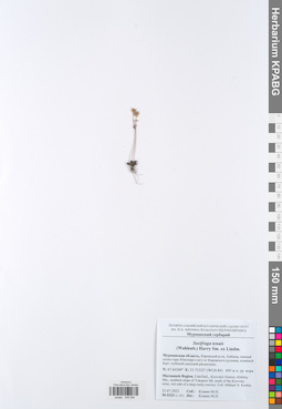 KPABG049384