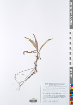 KPABG049414