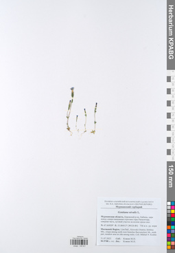 KPABG049521