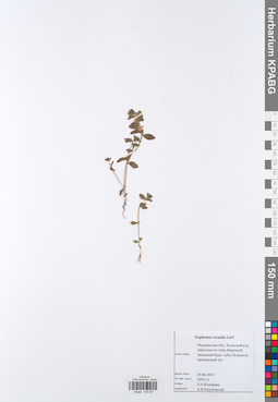 KPABG049581