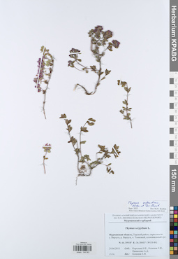 KPABG044083