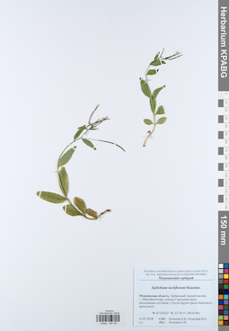 KPABG044108