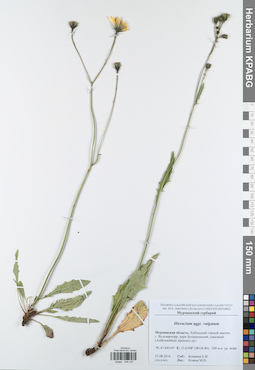 KPABG044127