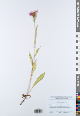 KPABG044150