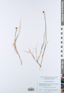 KPABG044154