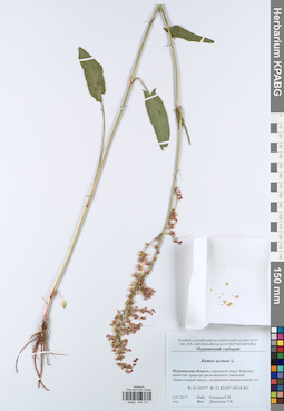 KPABG044174