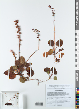 KPABG043913
