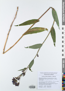 KPABG043941