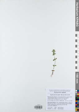 KPABG044007