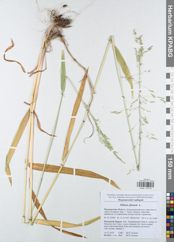 KPABG044012