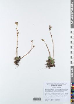 KPABG044039
