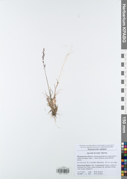 KPABG044046