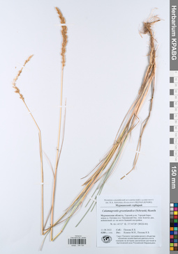 KPABG044194