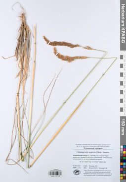 KPABG044198