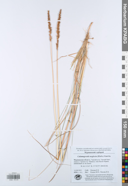 KPABG044244