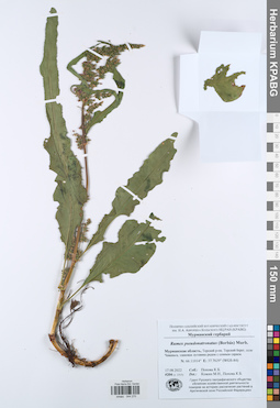 KPABG044270