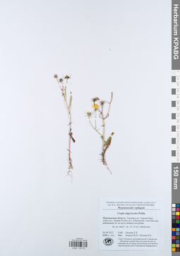 KPABG044278