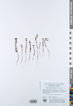 KPABG044281