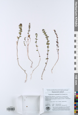 KPABG044285