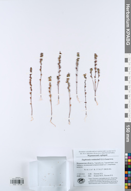 KPABG044286