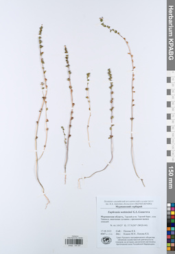 KPABG044291
