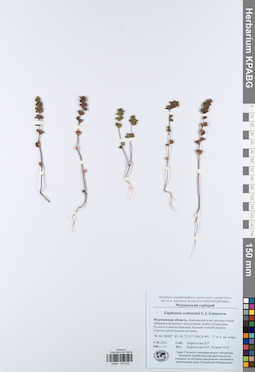 KPABG047025