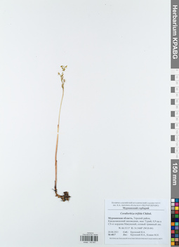 KPABG043807