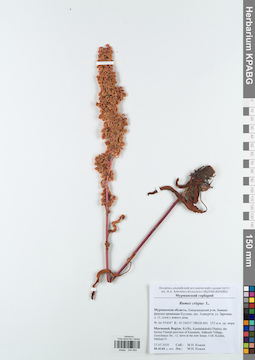 KPABG044054