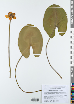 KPABG044078