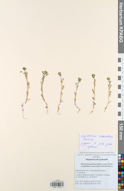 KPABG046943