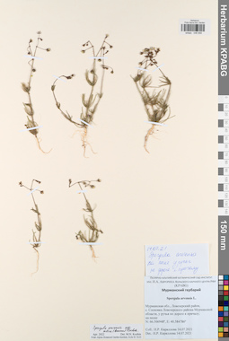 KPABG046958