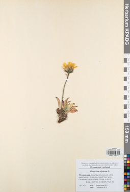 KPABG046975