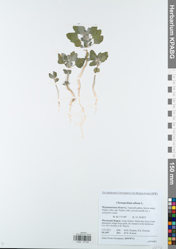 KPABG047602